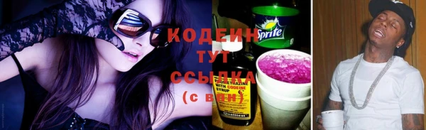 дмт Корсаков