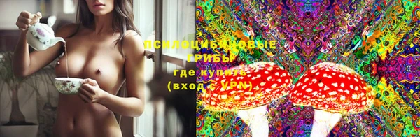 дмт Корсаков