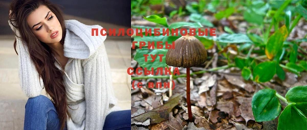 метадон Кинешма