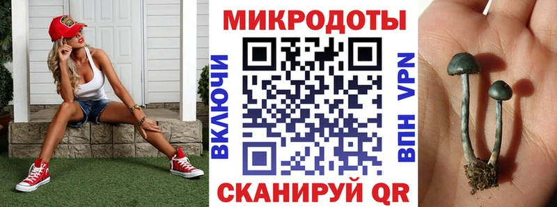 Псилоцибиновые грибы Cubensis  blacksprut вход  Кудымкар  наркота 